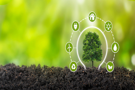 An Introduction to Environmental Sustainability